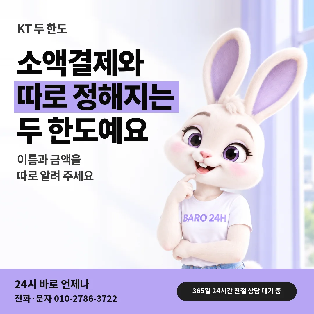 BARO 24H 티셔츠를 입은 3D 토끼 캐릭터 옆에 「KT 소액결제와 한도 구분」 제목을 얹은 안내 카드